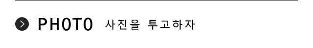 사진을 투고하자